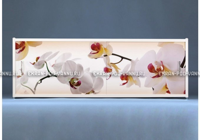 Раздвижной ФОТО экран - Orchid – купить по цене 8500 руб. в интернет-магазине в городе Саранск картинка 1