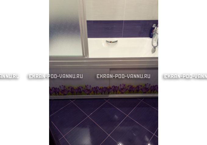 Экран на роликах EUROPLEX  Ирисы – купить по цене 12400 руб. в интернет-магазине в городе Саранск картинка 4