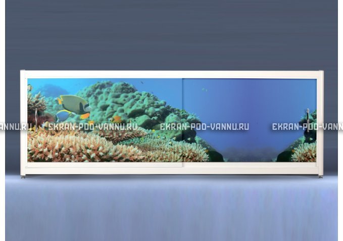 Экран на роликах EUROPLEX Коралловые рифы – купить по цене 12400 руб. в интернет-магазине в городе Саранск картинка 1